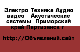 Электро-Техника Аудио-видео - Акустические системы. Приморский край,Партизанск г.